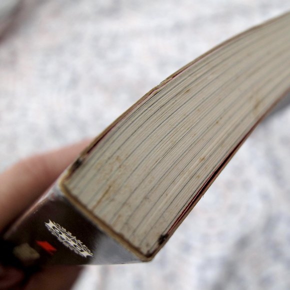 COMICS & GRAPHIC NOVELS | Berlin: City of Stones: Book One by Jason Lutes - Picture 13 of 14